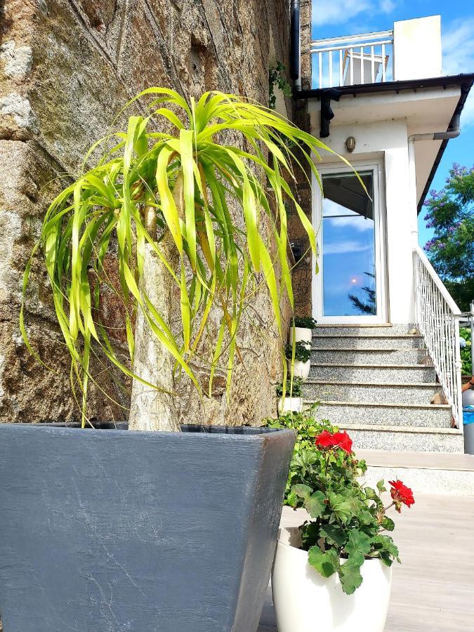 Villa Tana, Casa Compartida Pontevedra Kültér fotó